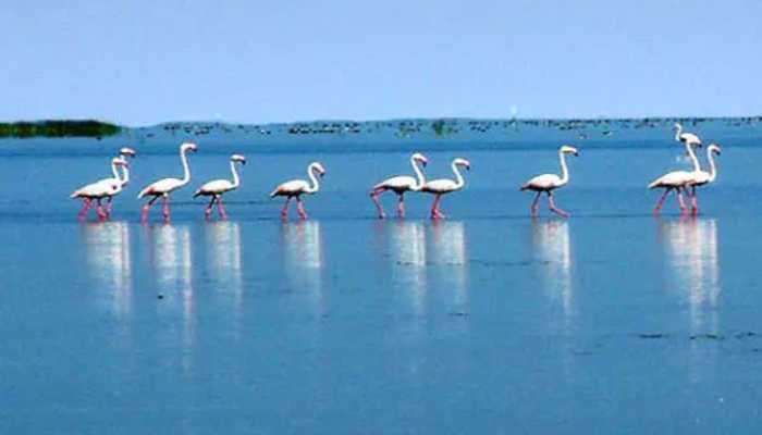 Diamond Triangle Tour